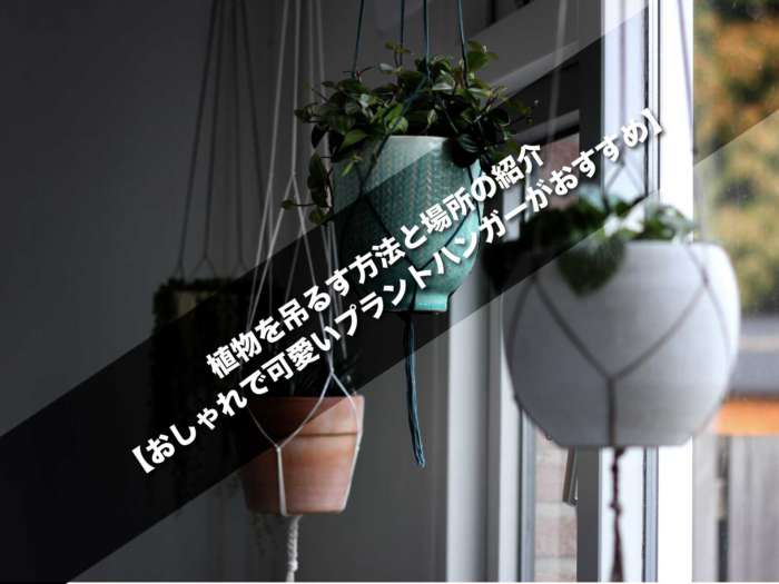 植物を吊るす方法と場所の紹介【おしゃれで可愛いプラントハンガーがおすすめ】